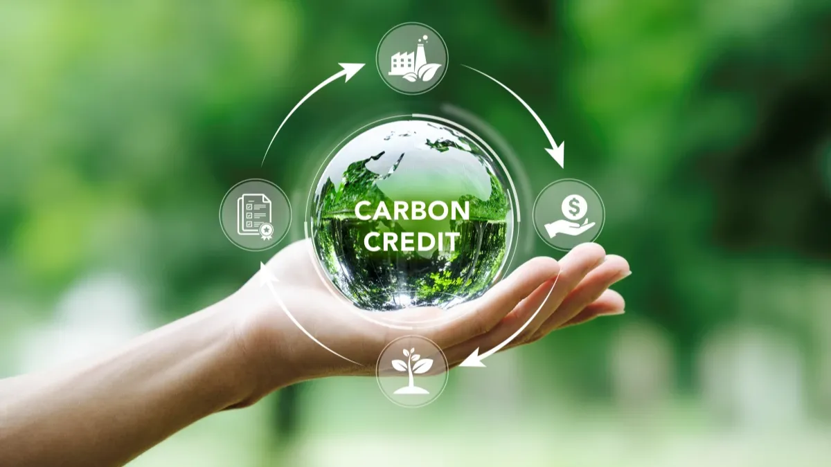 SUBACO verified carbon credits from bamboo forestry in Suriname - ESG aligned CO2 sequestration for green investors